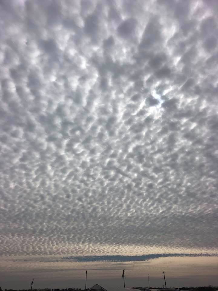 Stormy Days